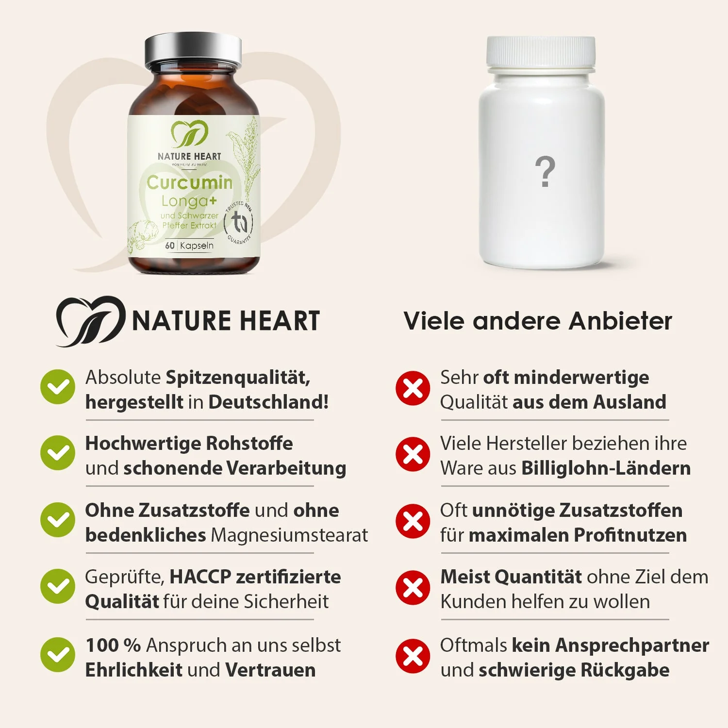 Curcumin Longa+ - Image 4