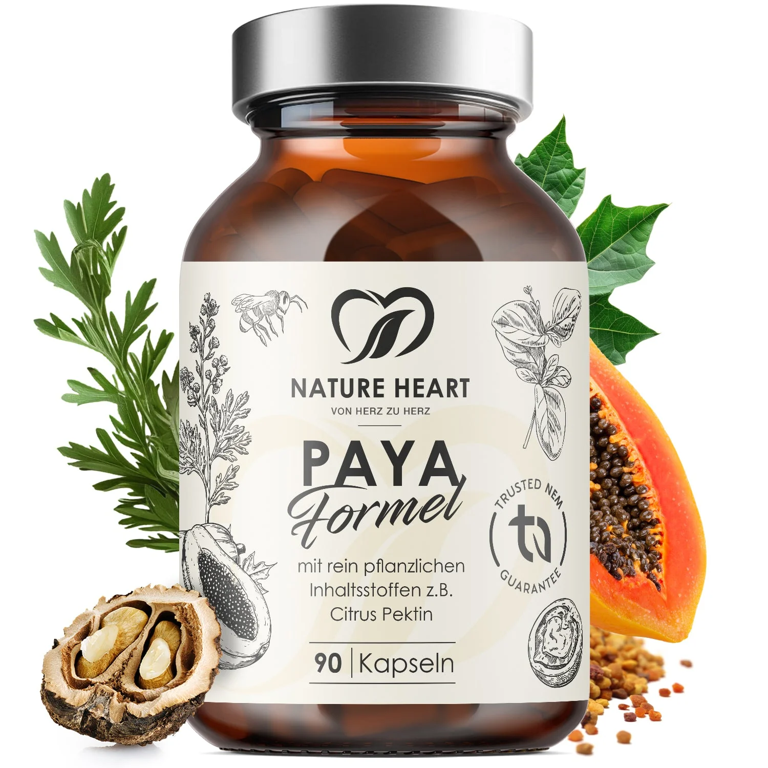 Paya Formel | limitiert - Image 11