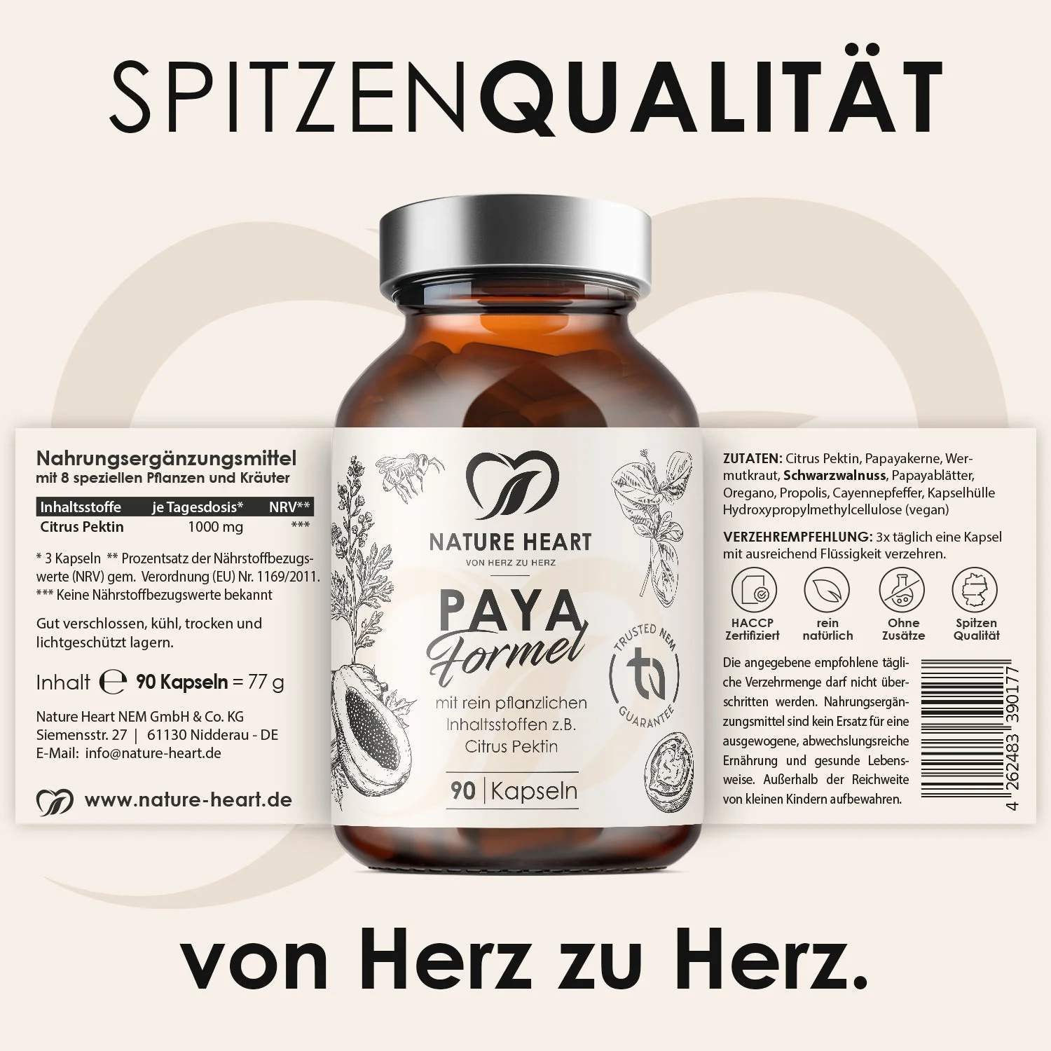 Paya Formel | limitiert - Image 4