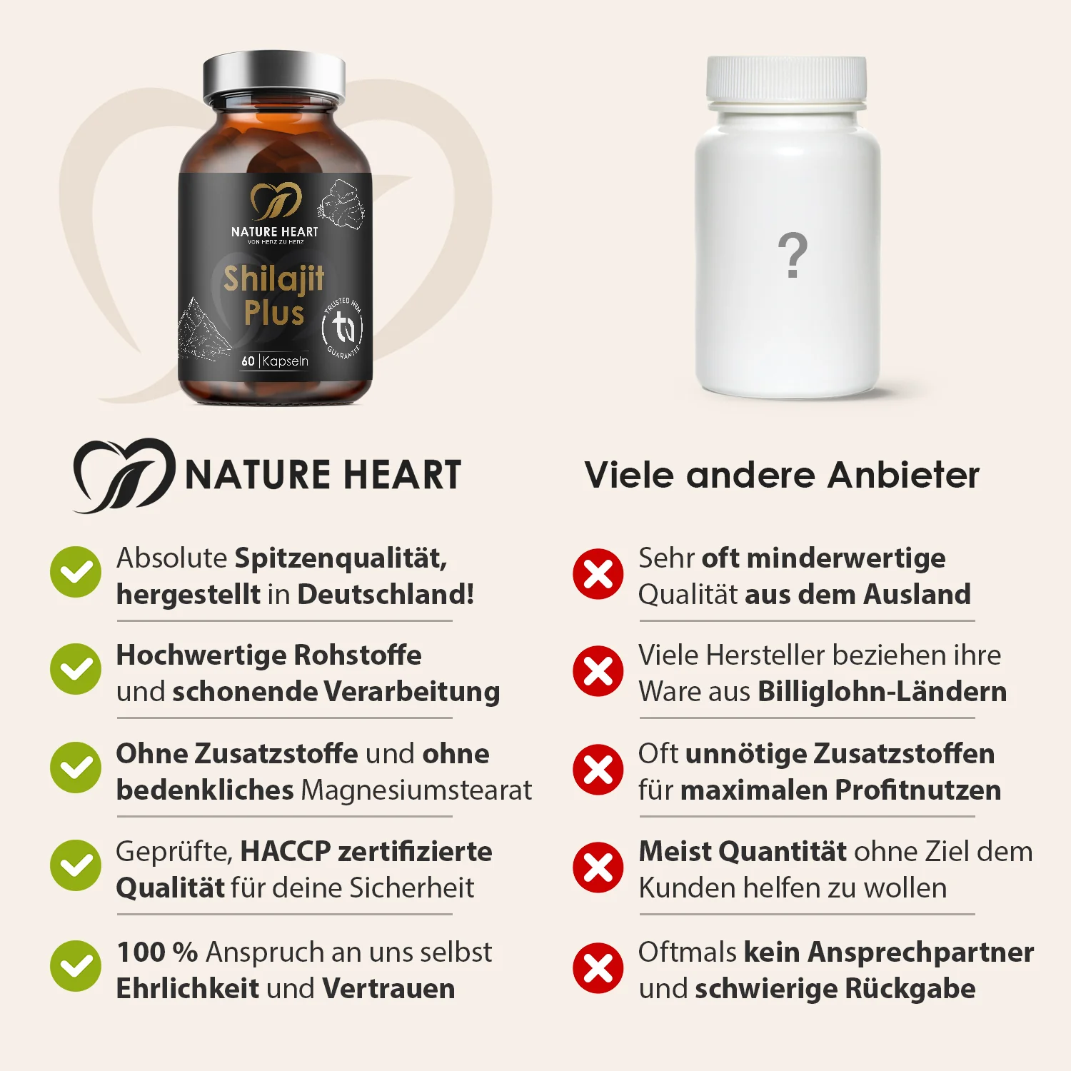 Shilajit - Image 4