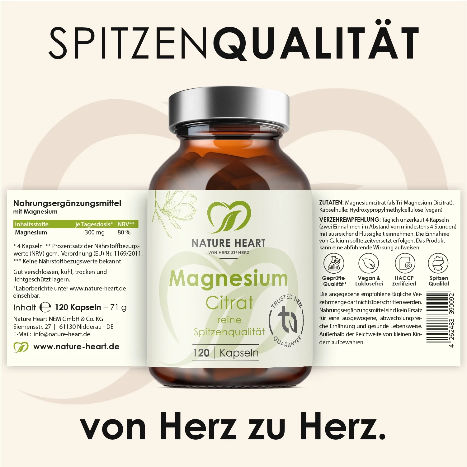 Size Zero 2.0 Plus Bundle* | by Julian Zietlow - Image 6