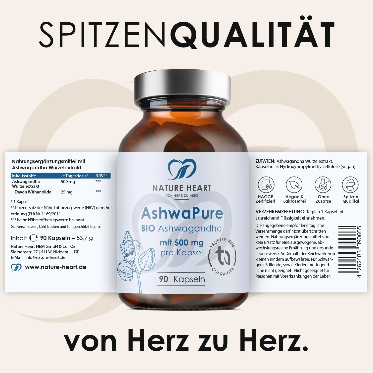 Stressless Bundle | Julia Bernsee - Image 3